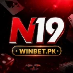 N19 Game APK is the latest earning platform in pakistan.