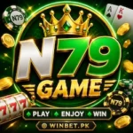 N79 game