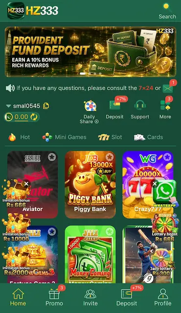HZ333 Game (2)