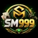 Sm999 Game Logo 2026
